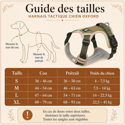 Harnais tactique chien oxford - guide des tailles S M L XL