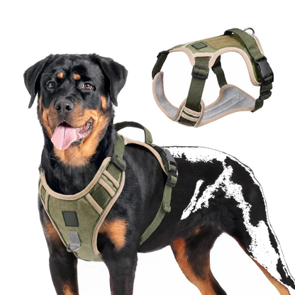 Harnais Tactique Chien Oxford porté par un Rottweiler, coloris kaki