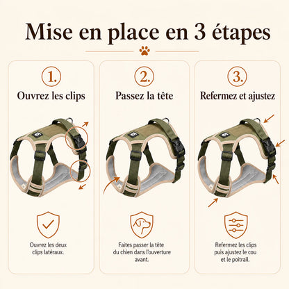 Harnais tactique chien oxford - mise en place en 3 etapes