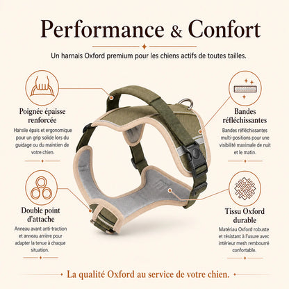 Harnais tactique chien oxford - performance et confort