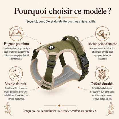 Harnais tactique chien oxford - pourquoi choisir ce modele