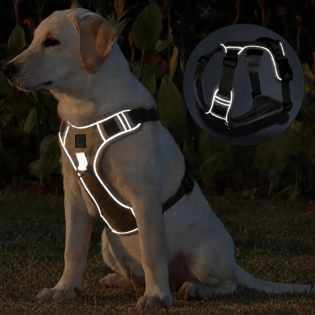 Harnais Tactique Chien Oxford, bandes réfléchissantes visibles de nuit