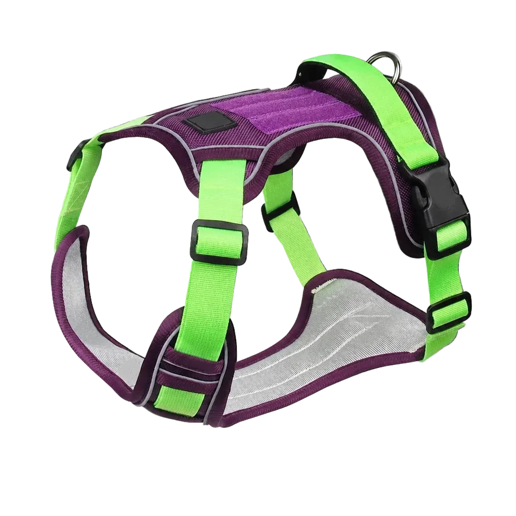 Harnais Tactique Chien Oxford coloris violet et vert fluo