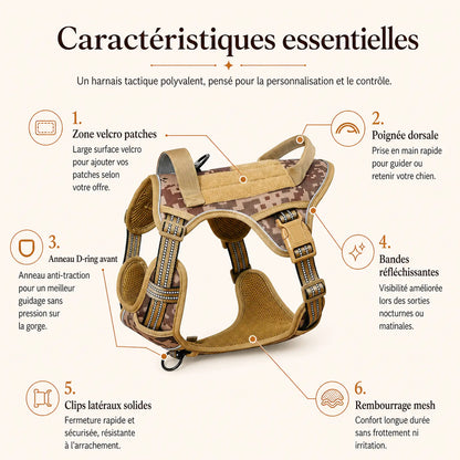 Harnais tactique chien patchs - caracteristiques essentielles