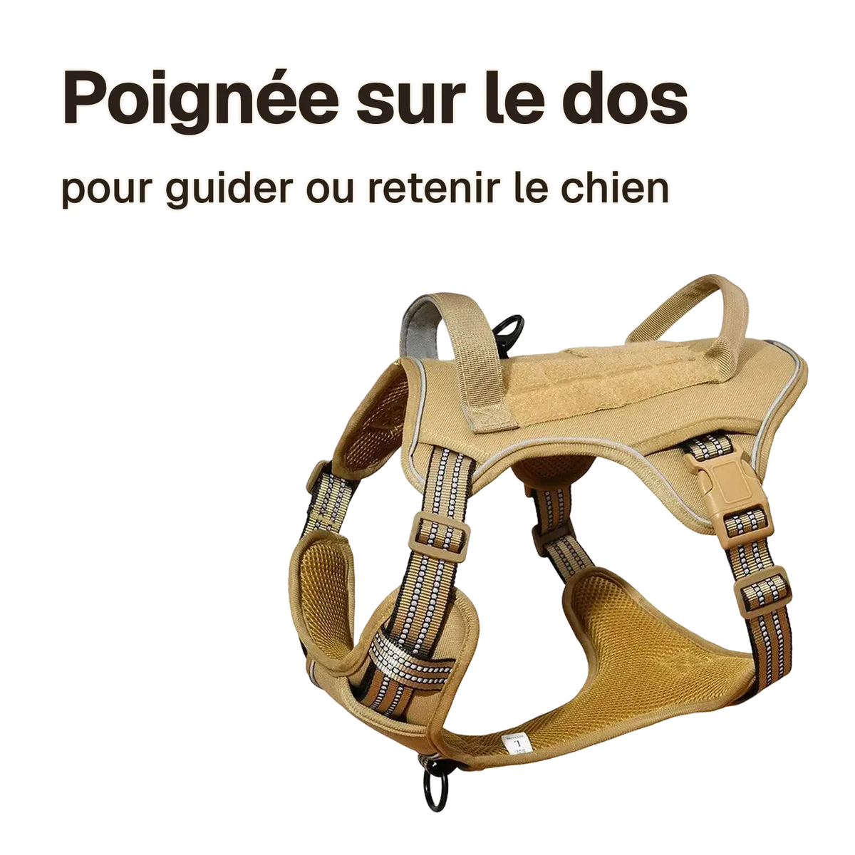 Harnais Tactique Chien Patchs : poignée sur le dos pour guider ou retenir le chien
