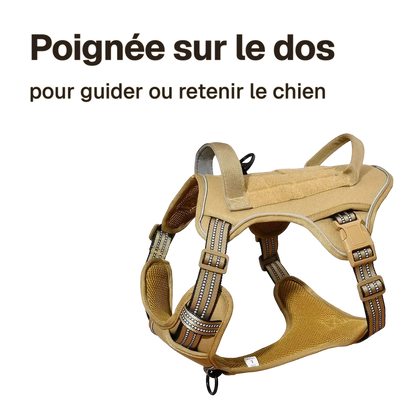 Harnais Tactique Chien Patchs : poignée sur le dos pour guider ou retenir le chien