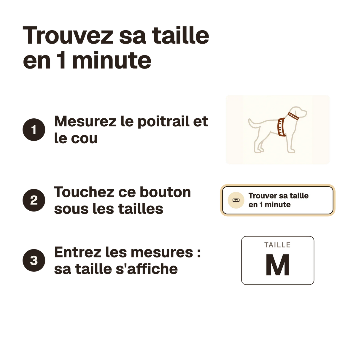 Trouver sa taille en 1 minute : mesurer le poitrail et le cou du chien, ouvrir le calculateur sous les tailles, entrer les mesures, la taille s'affiche
