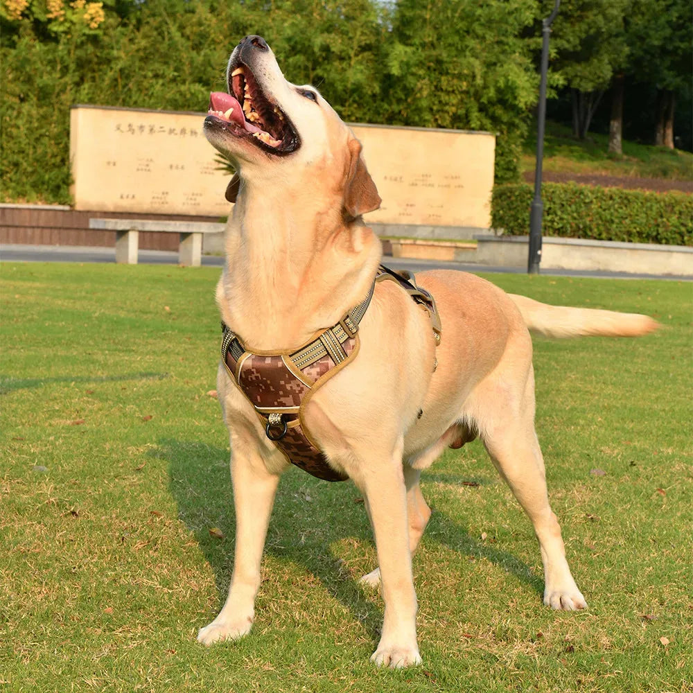 Harnais Tactique Chien Patchs coloris vert olive, vue de face