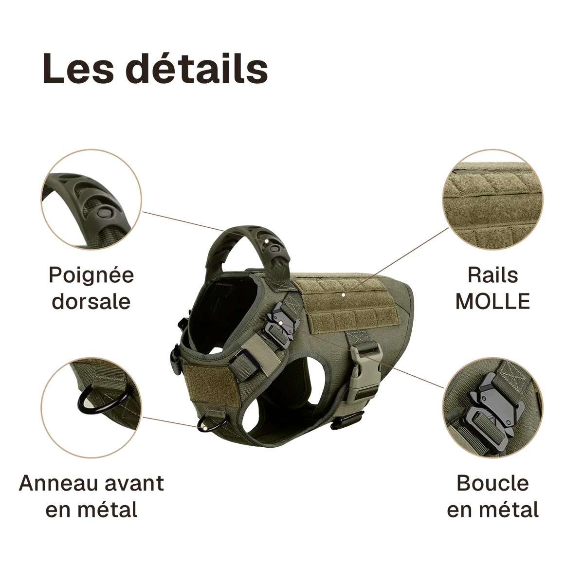 Les détails du harnais tactique chien à rails MOLLE : poignée dorsale, anneau avant en métal, rails MOLLE, boucle en métal