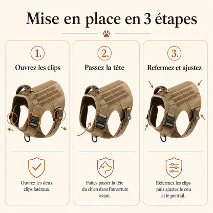 Harnais tactique chien pochettes - mise en place en 3 etapes
