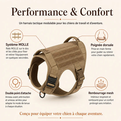 Harnais tactique chien pochettes - performance et confort