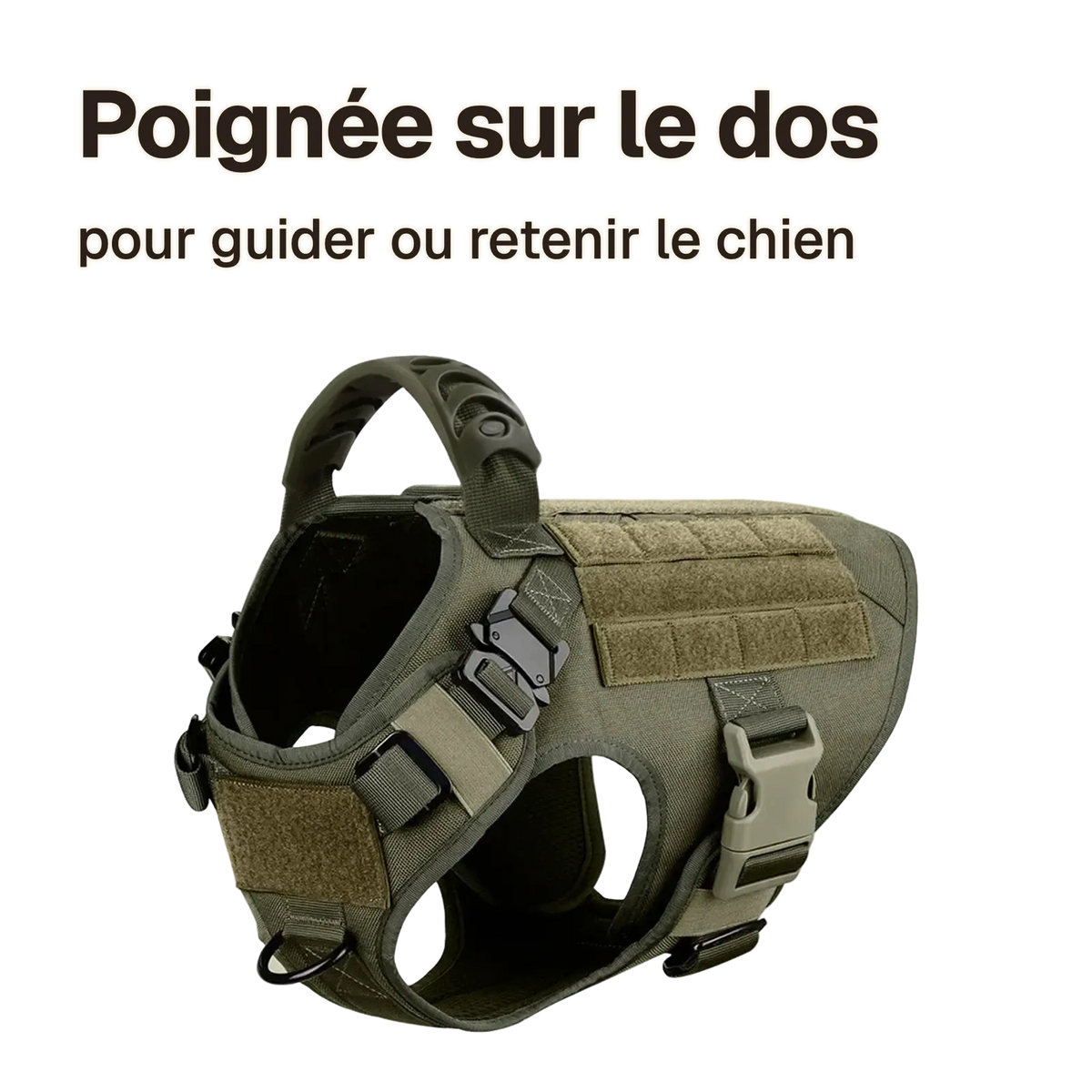 Harnais tactique chien à rails MOLLE : poignée sur le dos pour guider ou retenir le chien