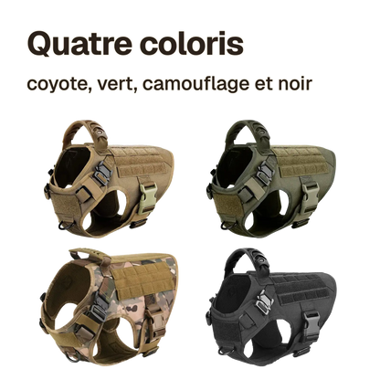 Harnais tactique chien à rails MOLLE en quatre coloris : coyote, vert, camouflage et noir