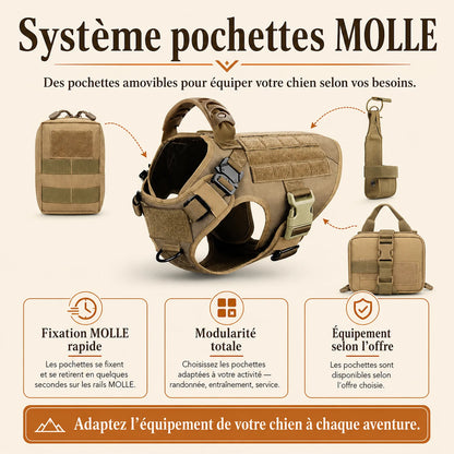 Harnais tactique chien pochettes - systeme pochettes MOLLE modulable