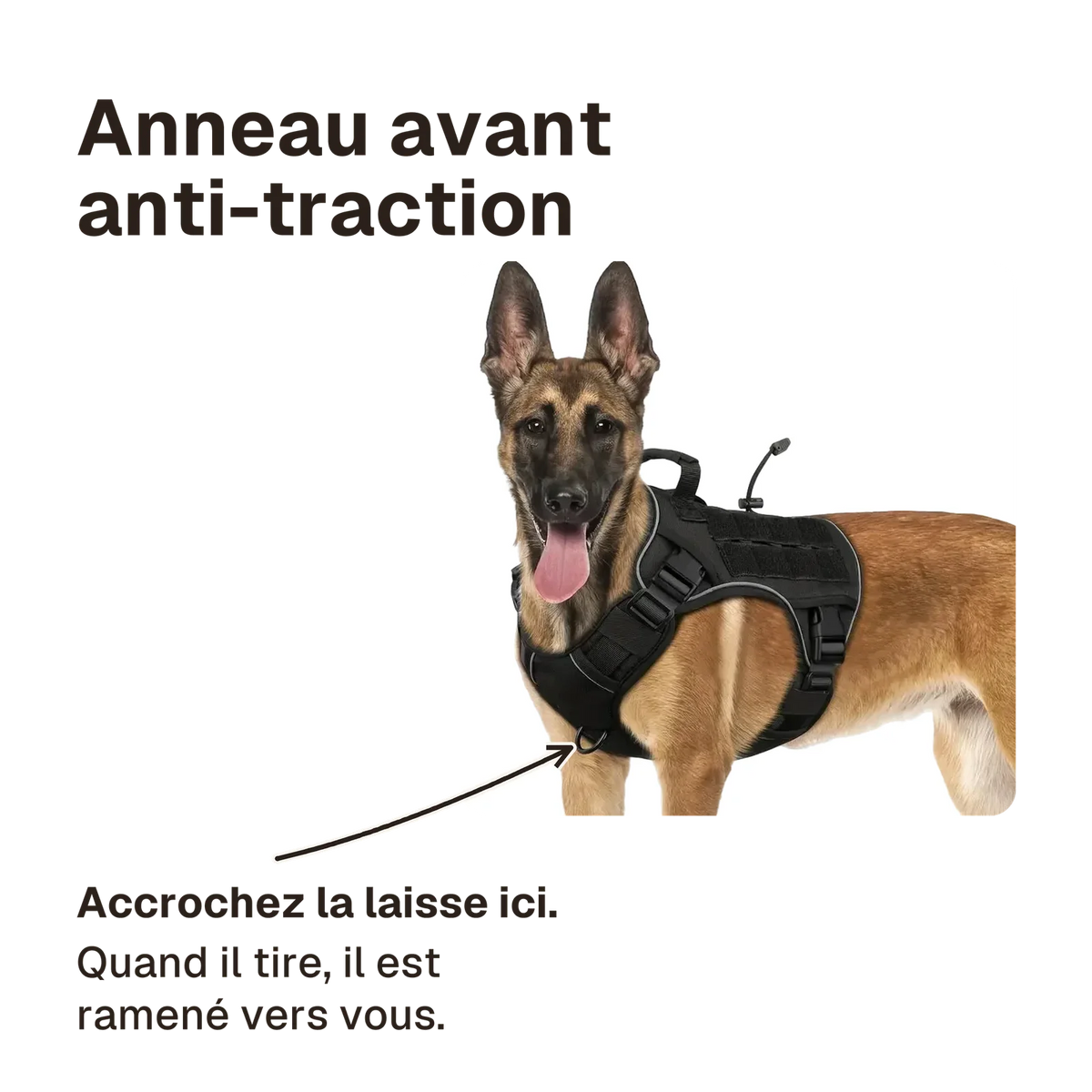 Harnais tactique chien réfléchissant : accrochez la laisse à l'anneau avant, quand il tire le chien est ramené vers vous