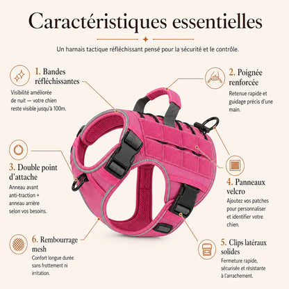 Harnais tactique chien reflechissant - caracteristiques essentielles
