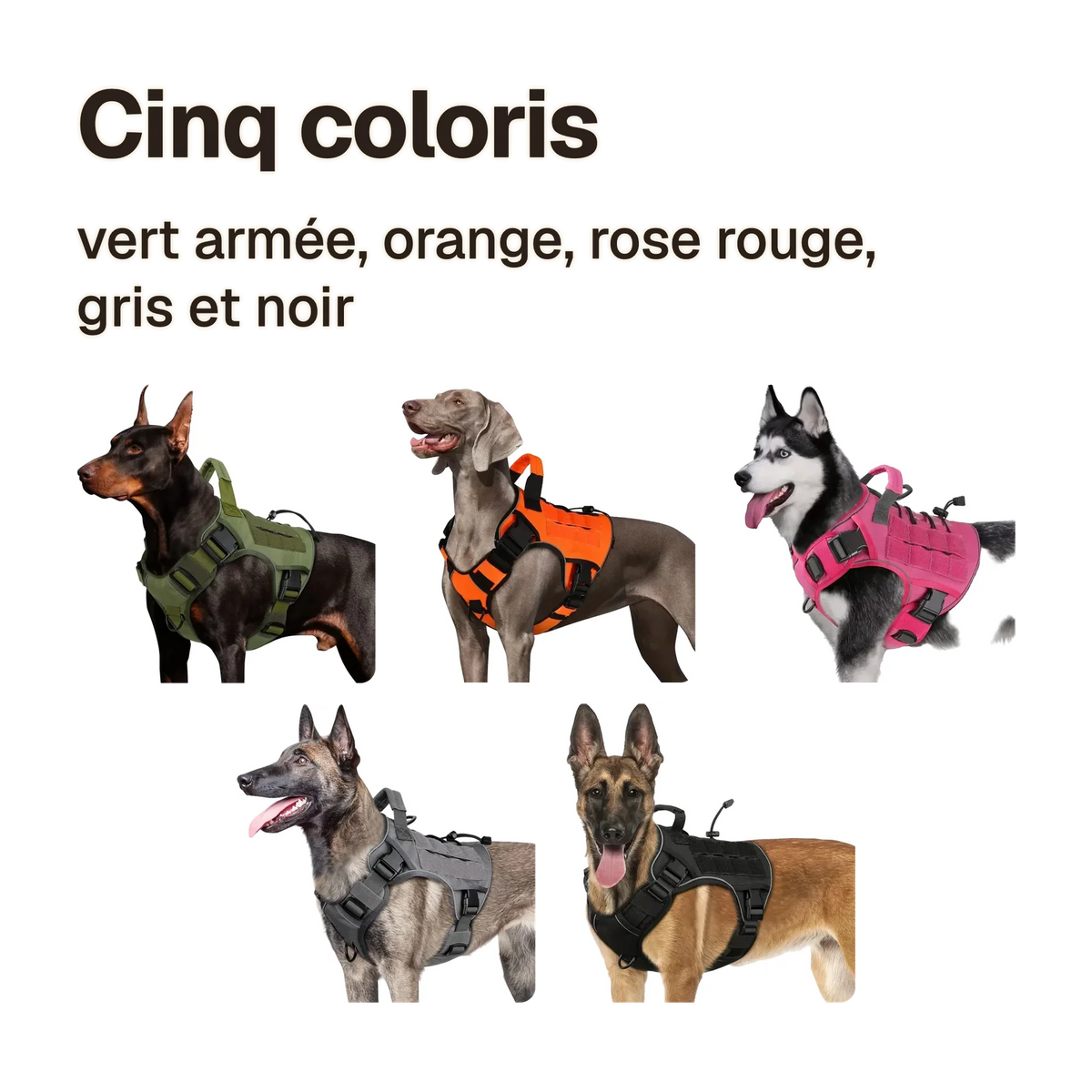 Harnais tactique chien réfléchissant en cinq coloris : vert armée, orange, rose rouge, gris et noir