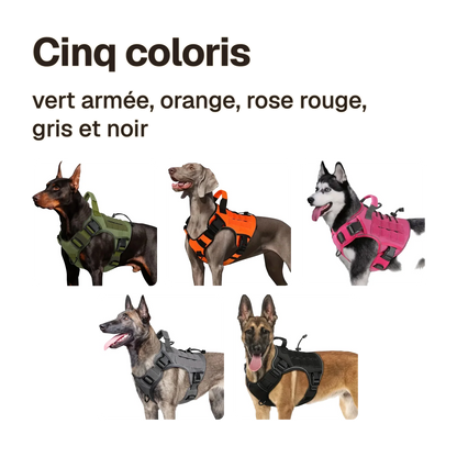 Harnais tactique chien réfléchissant en cinq coloris : vert armée, orange, rose rouge, gris et noir
