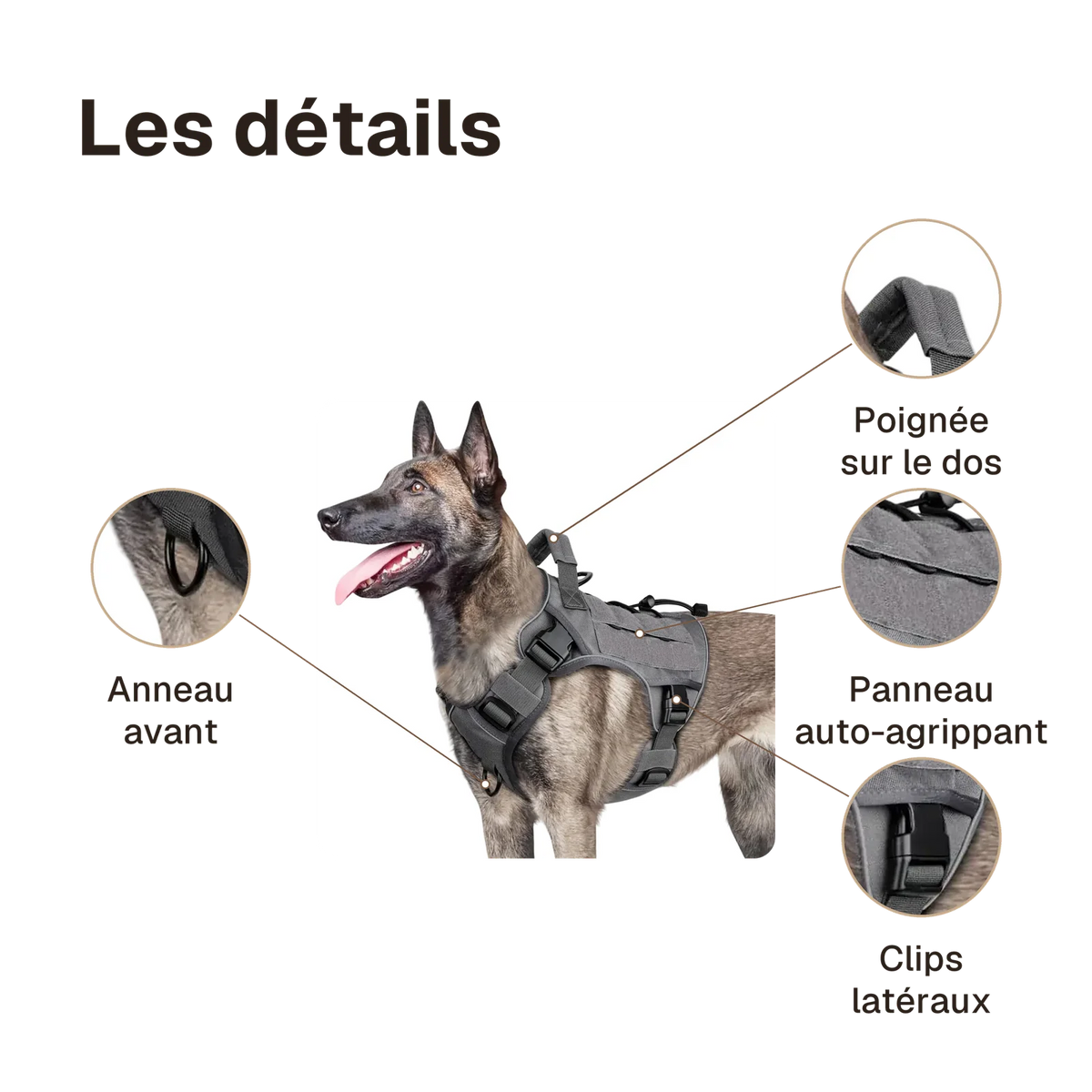 Les détails du harnais tactique chien réfléchissant : anneau avant, poignée sur le dos, panneau auto-agrippant, clips latéraux