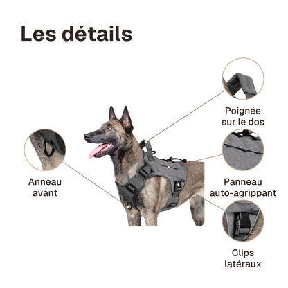 Les détails du harnais tactique chien réfléchissant : anneau avant, poignée sur le dos, panneau auto-agrippant, clips latéraux