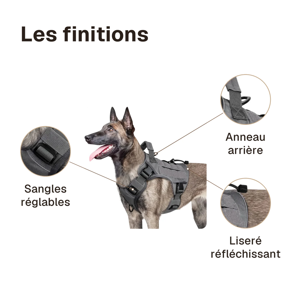 Les finitions du harnais tactique chien réfléchissant : sangles réglables, anneau arrière, liseré réfléchissant