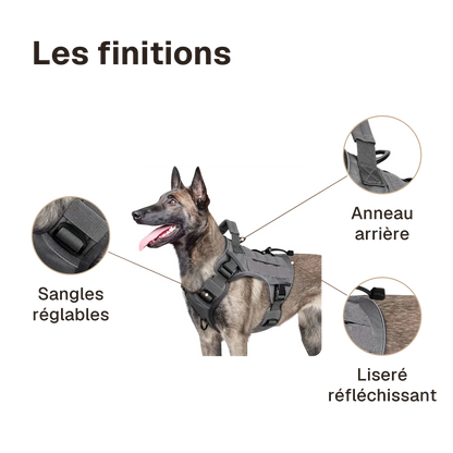Les finitions du harnais tactique chien réfléchissant : sangles réglables, anneau arrière, liseré réfléchissant