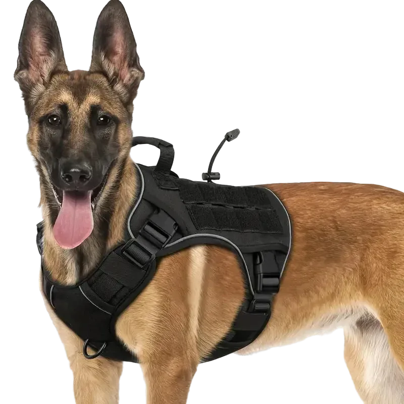 Harnais Tactique Chien Réfléchissant coloris noir, avec support caméra