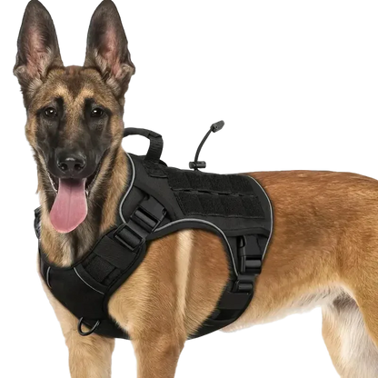 Harnais Tactique Chien Réfléchissant coloris noir, avec support caméra
