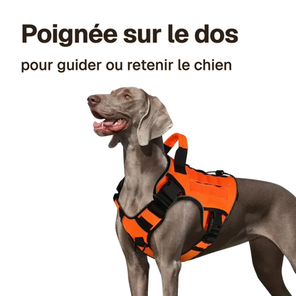 Harnais tactique chien réfléchissant : poignée sur le dos, pour guider ou retenir le chien