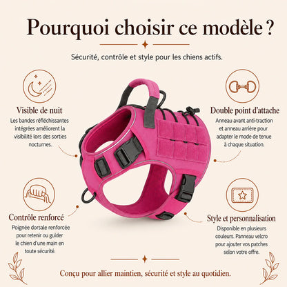 Harnais tactique chien reflechissant - pourquoi choisir ce modele