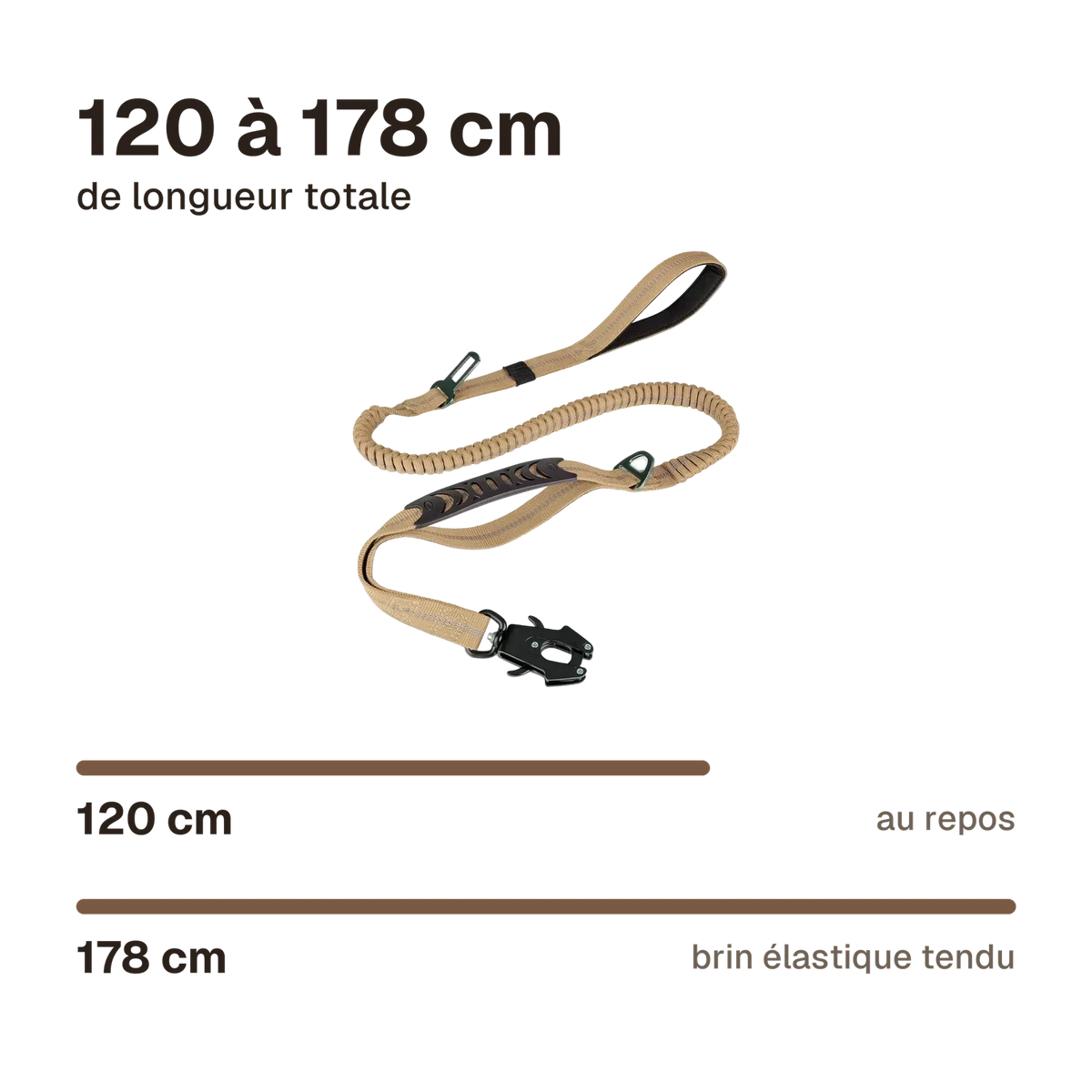 Laisse anti-traction amortissante : 120 cm de longueur au repos, 178 cm brin élastique tendu
