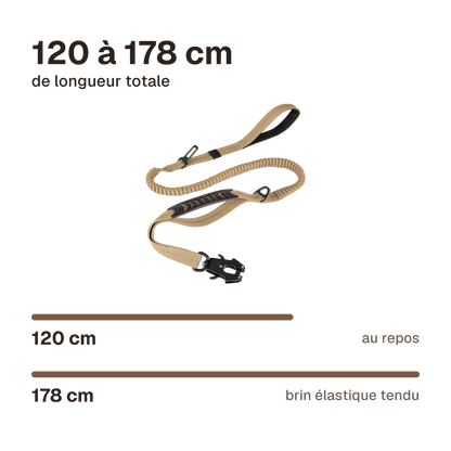 Laisse anti-traction amortissante : 120 cm de longueur au repos, 178 cm brin élastique tendu
