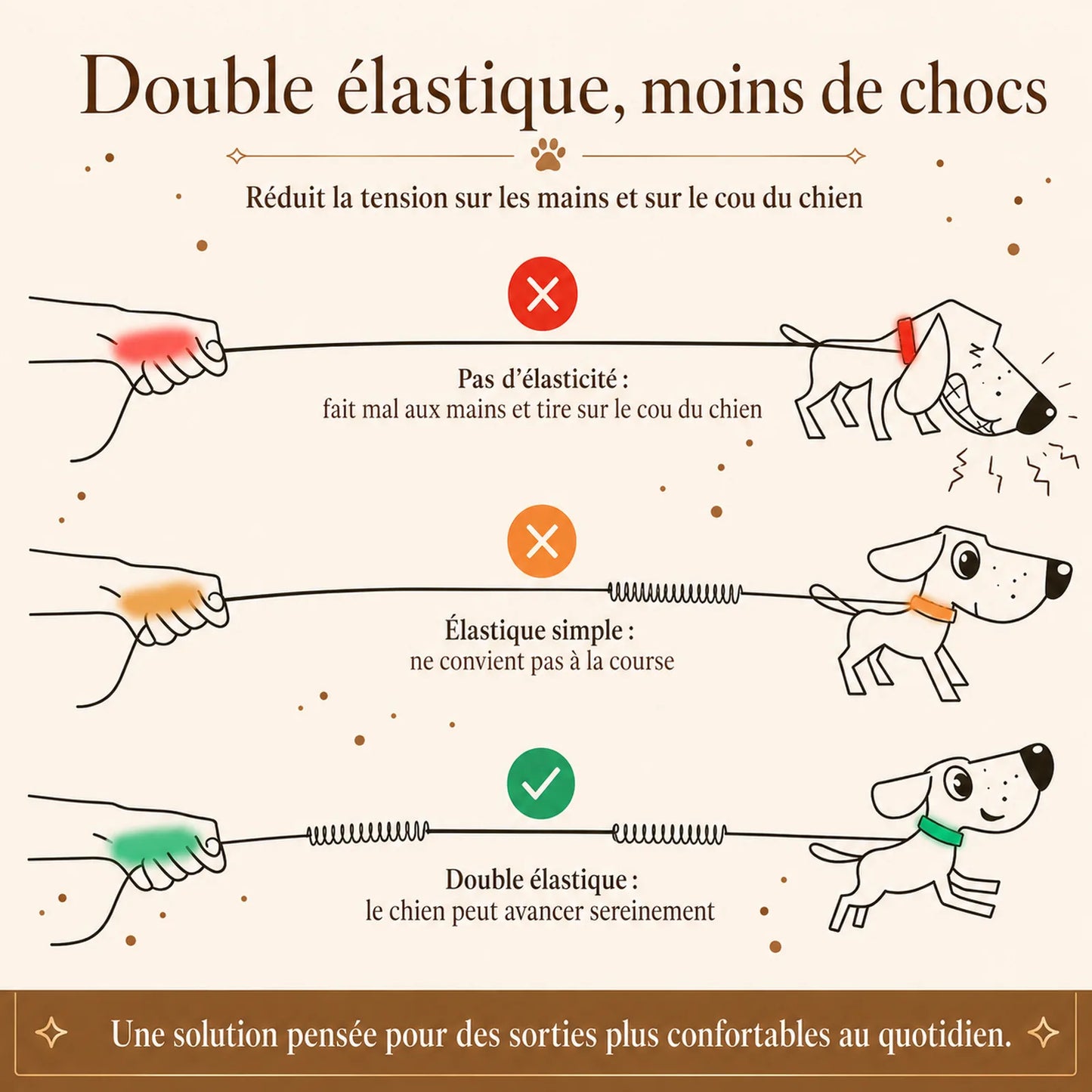 laisse elastique reflechissante mains libres chien ajout double amortisseur