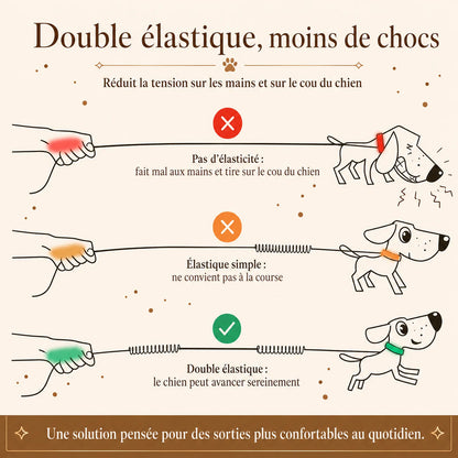 laisse elastique reflechissante mains libres chien ajout double amortisseur