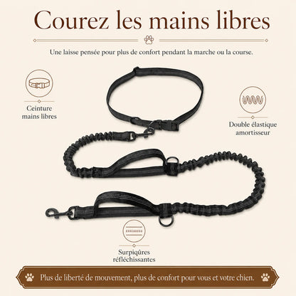 laisse elastique reflechissante mains libres chien benefice principal