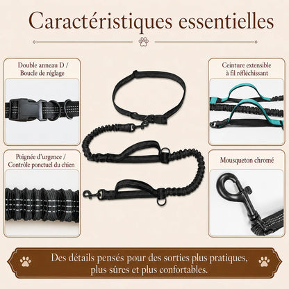 laisse elastique reflechissante mains libres chien caracteristiques essentielles