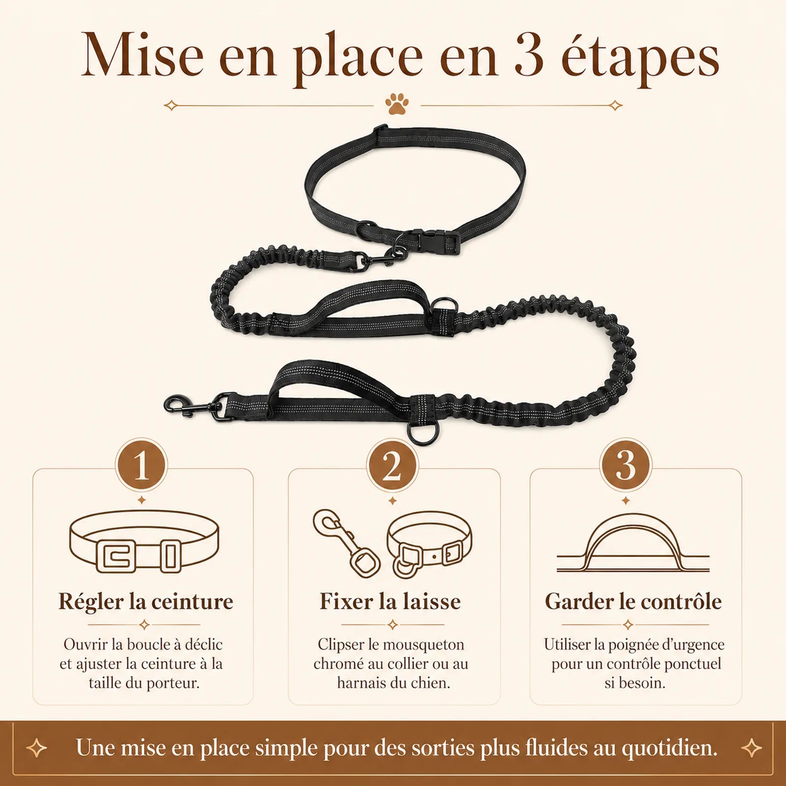 laisse elastique reflechissante mains libres chien mise en place 3 etapes