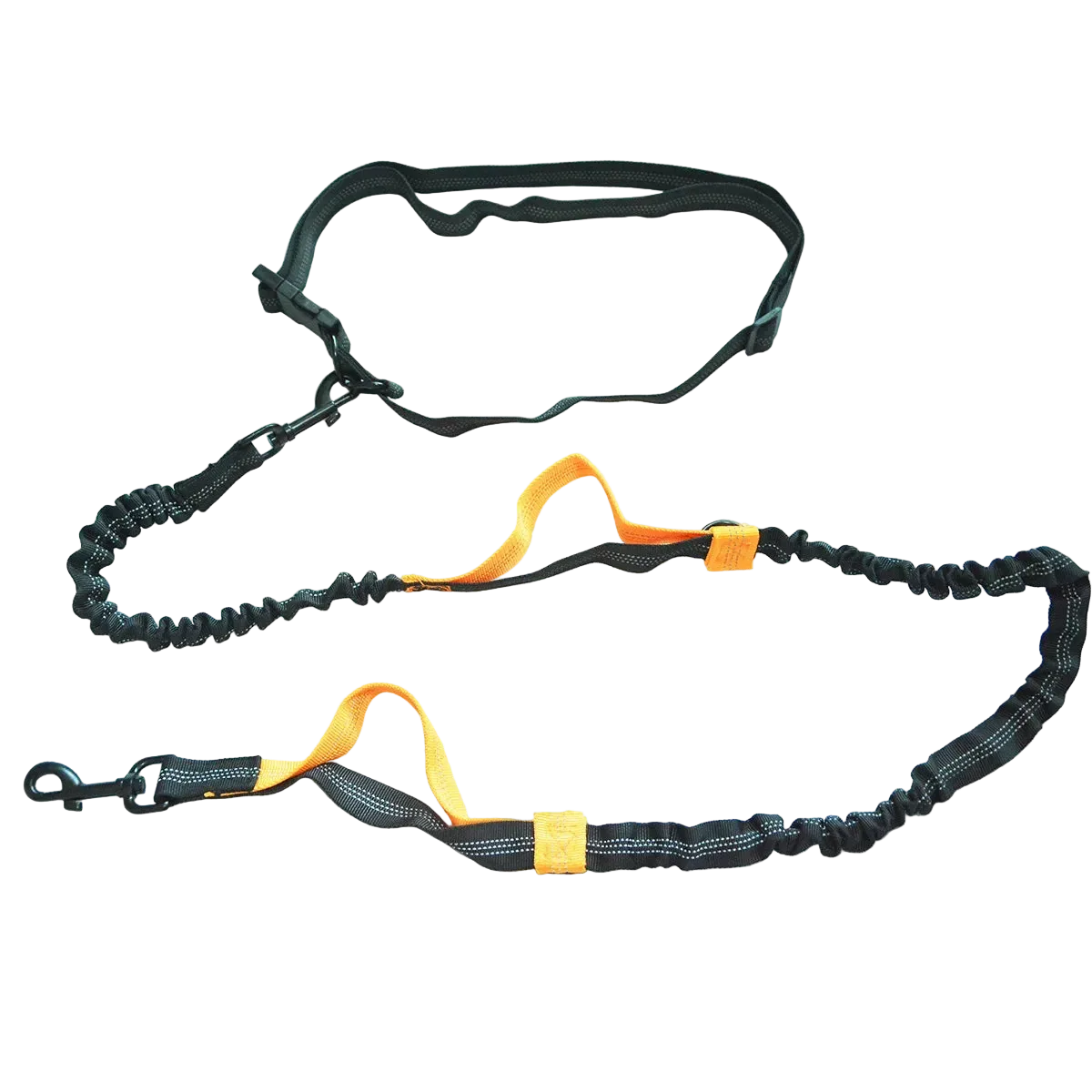 Laisse élastique réfléchissante mains libres pour chien, liseré orange et ceinture réglable