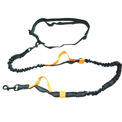 Laisse élastique réfléchissante mains libres pour chien, liseré orange et ceinture réglable