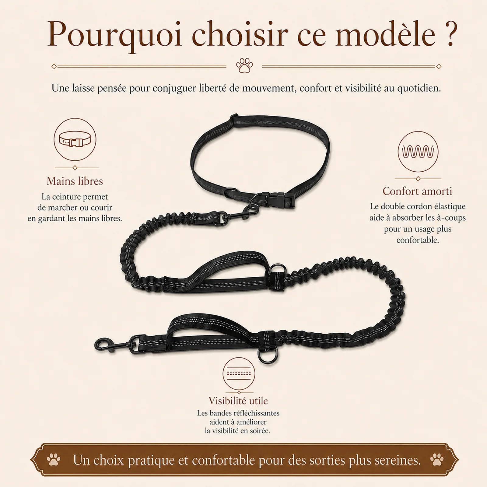 laisse elastique reflechissante mains libres chien pourquoi choisir ce modele