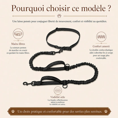 laisse elastique reflechissante mains libres chien pourquoi choisir ce modele