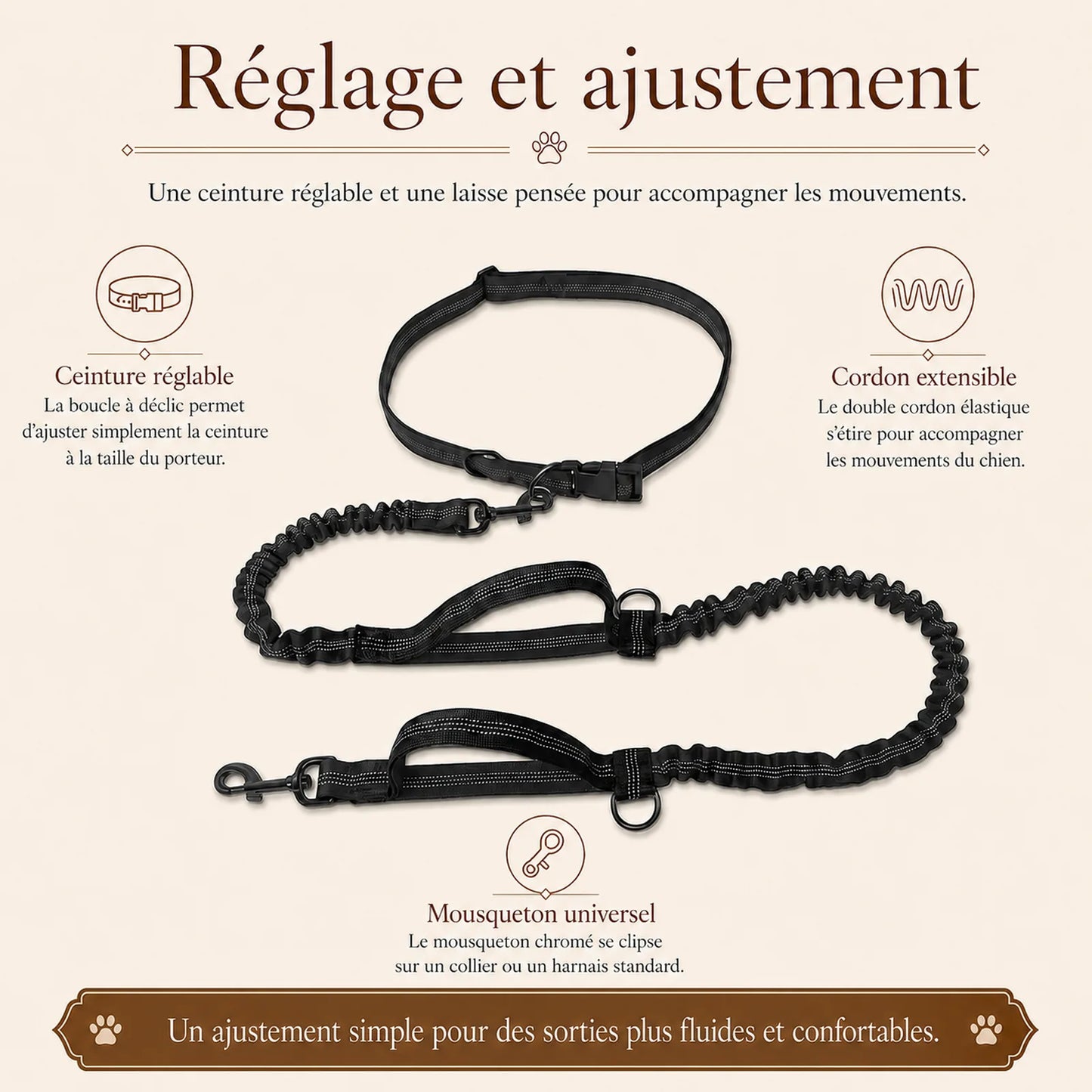 laisse elastique reflechissante mains libres chien reglage ajustement