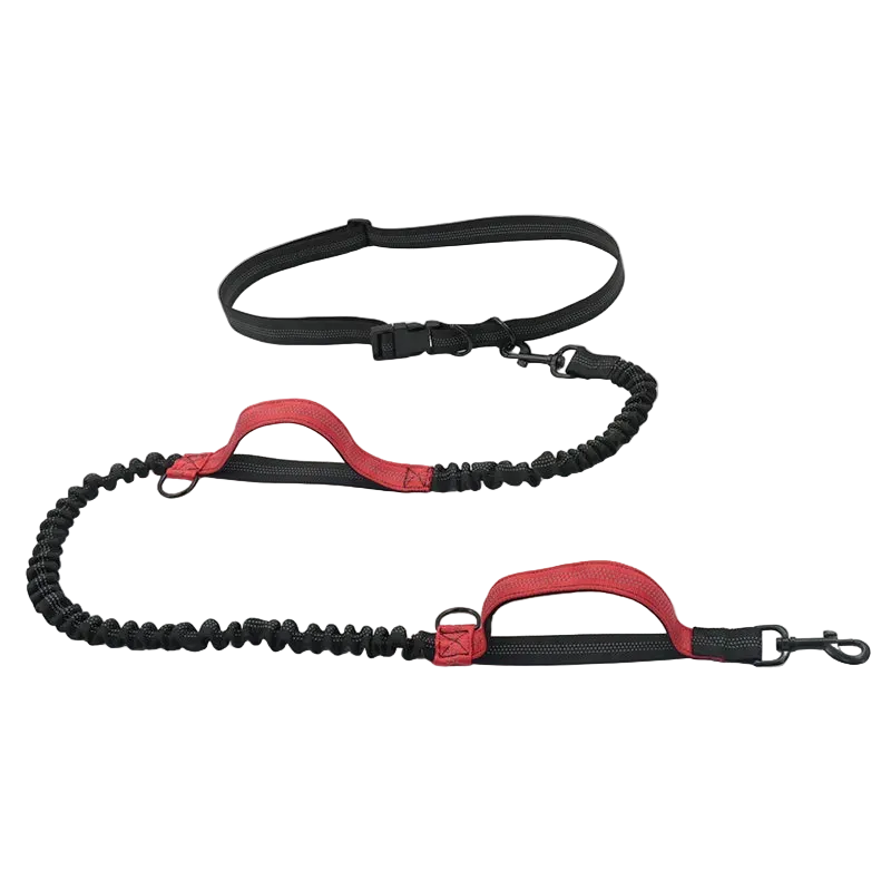 Laisse élastique réfléchissante mains libres pour chien, coloris rouge avec ceinture ajustable