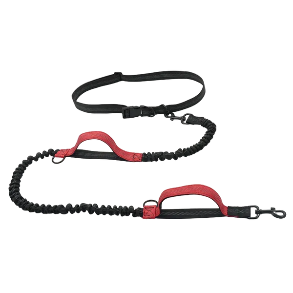 Laisse élastique réfléchissante mains libres pour chien, coloris rouge avec ceinture ajustable