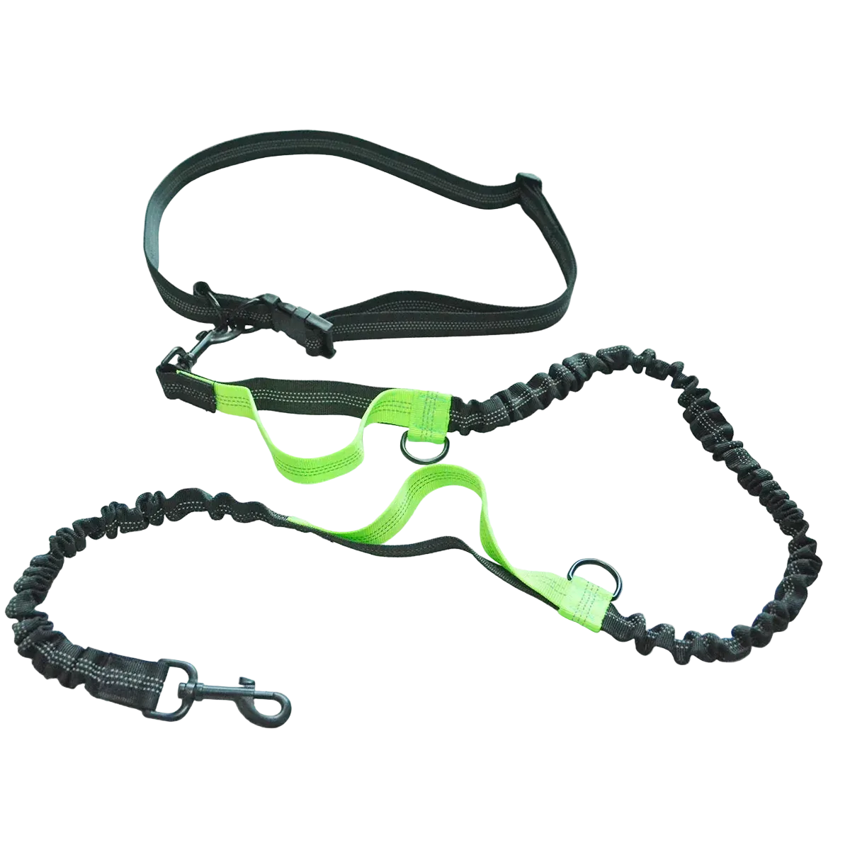 Laisse élastique réfléchissante mains libres pour chien, liseré vert et ceinture ajustable