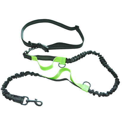 Laisse élastique réfléchissante mains libres pour chien, liseré vert et ceinture ajustable