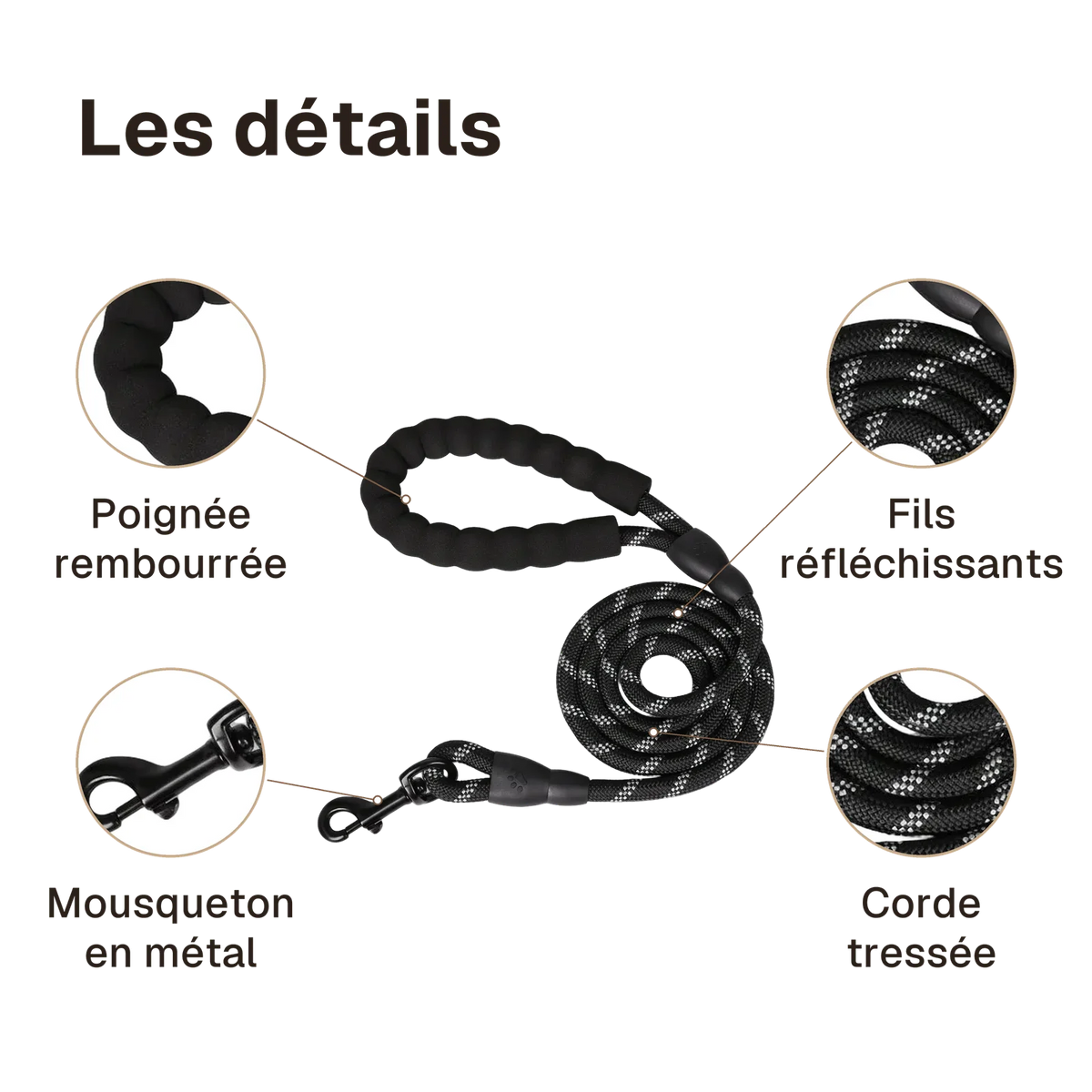 Les détails de la laisse renforcée : poignée rembourrée, mousqueton en métal, fils réfléchissants, corde tressée