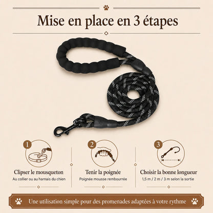 laisse reflechissante renforcee poignee rembourree mise en place 3 etapes