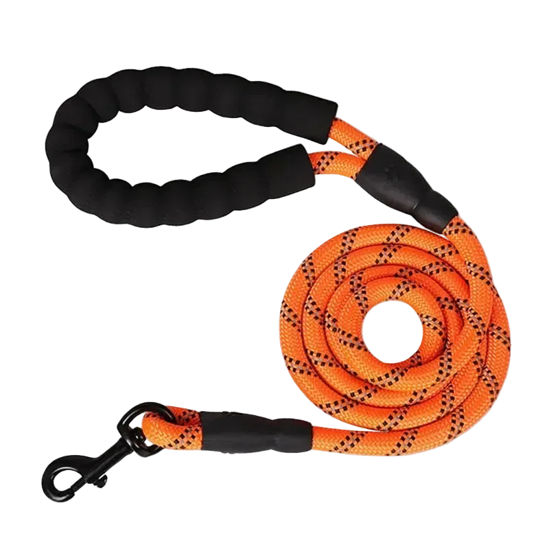 Laisse réfléchissante renforcée à poignée rembourrée pour chien, coloris orange