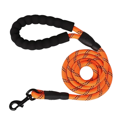 Laisse réfléchissante renforcée à poignée rembourrée pour chien, coloris orange
